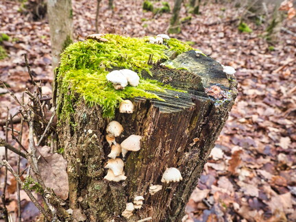 20220123160543-1d635055